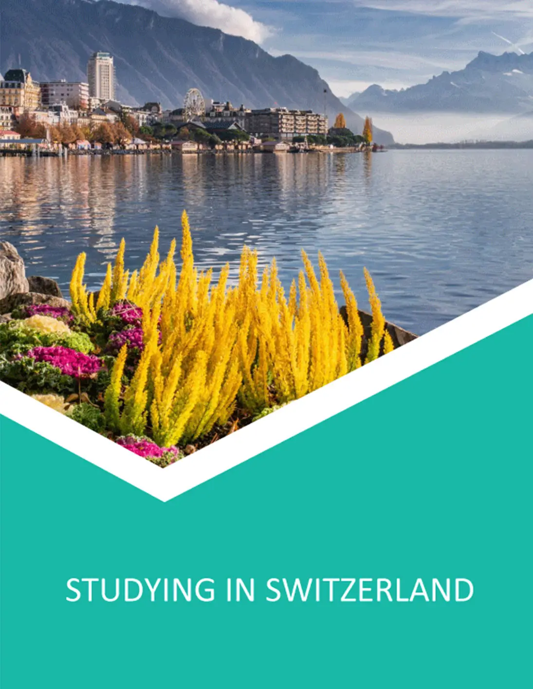 Country Study Guide Studying in Switzerland